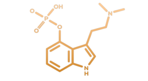 Psilocybin therapy session